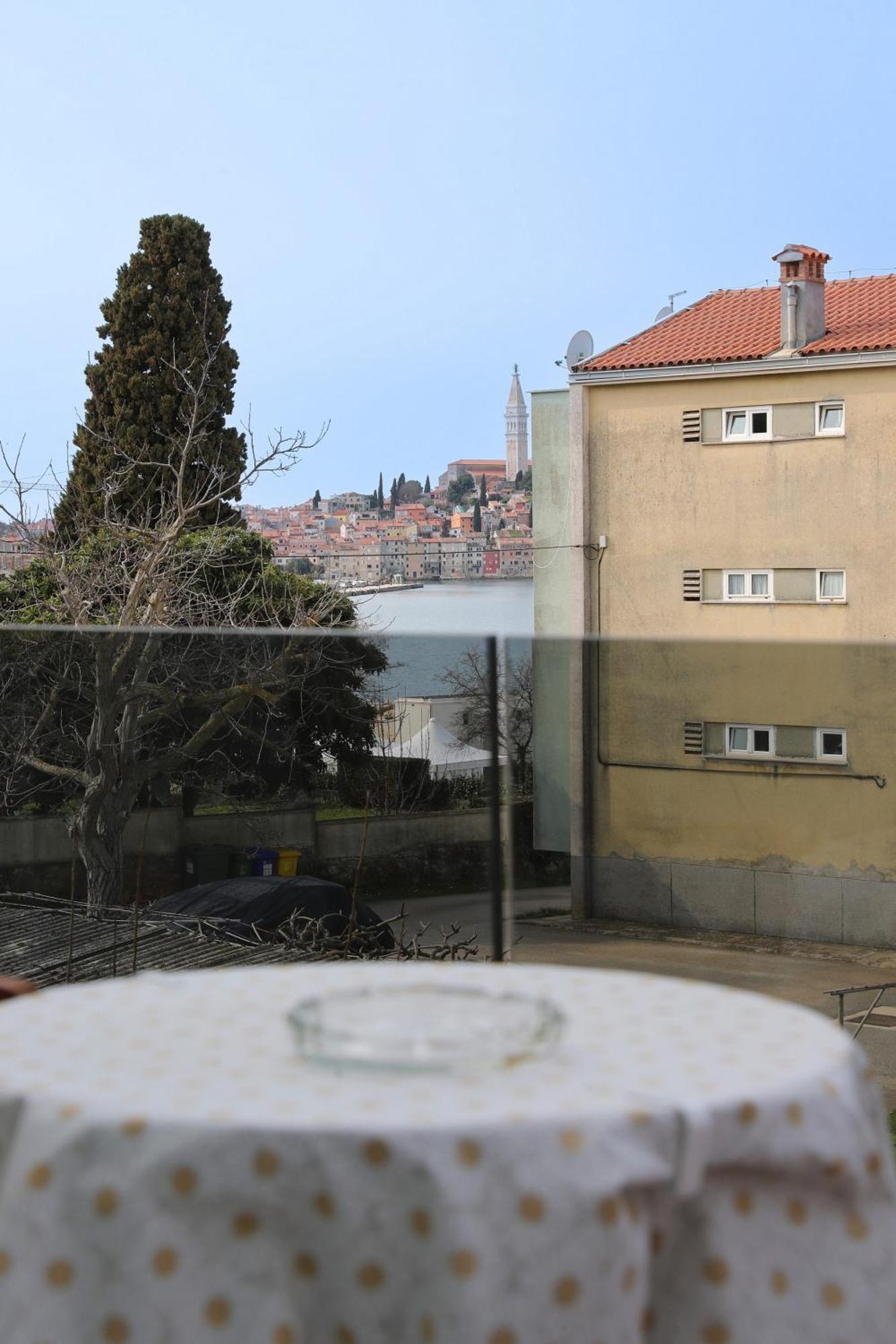 Villa Cok Rovigno Esterno foto